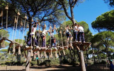 Diversión en el parque de aventuras «Entre Ramas»