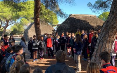 Visita cultural a Doñana